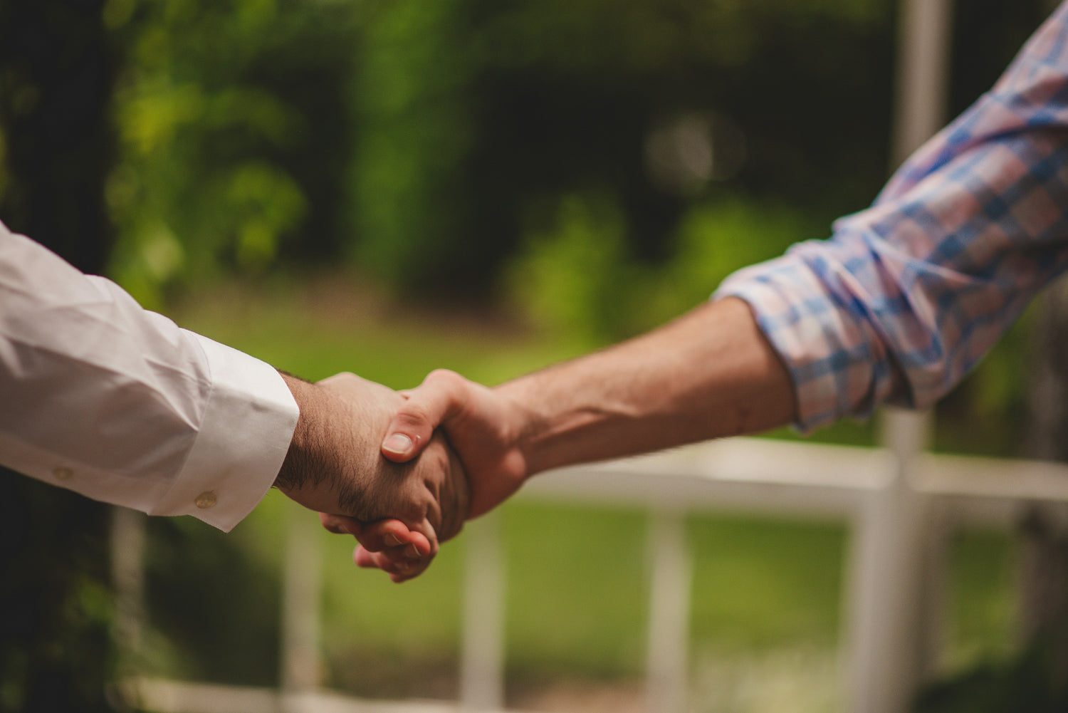 4 Reasons Why Procal Is Your True Partner