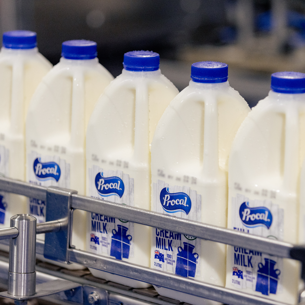 How Procal Provides a Reliable Supply Chain for Your Business