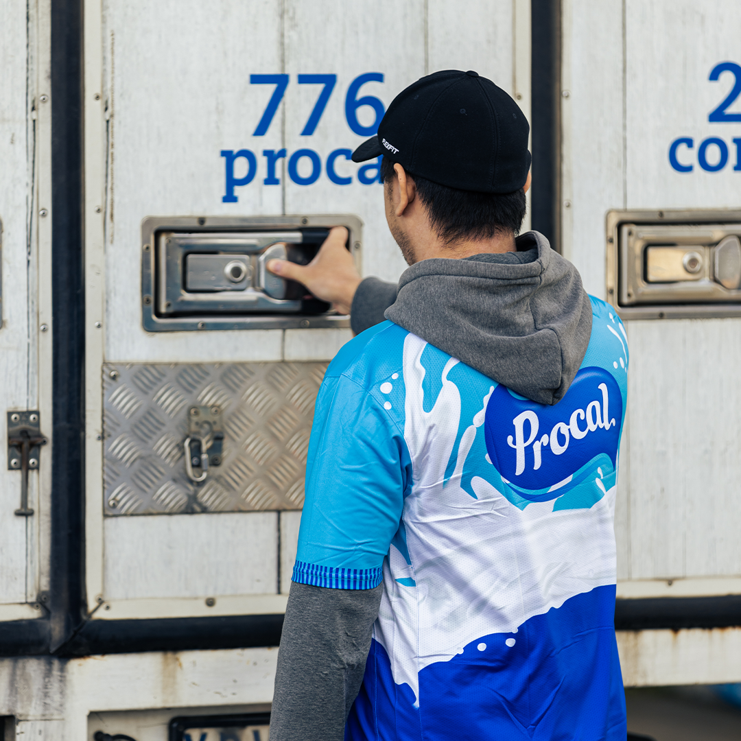 Distribution – Procal